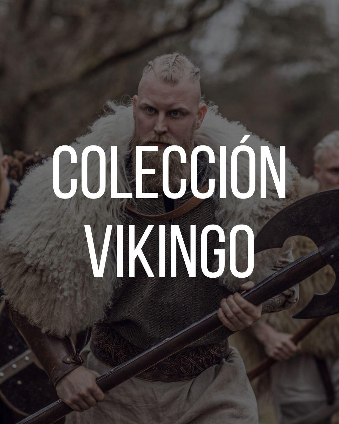 ----- Colección Vikingo -----